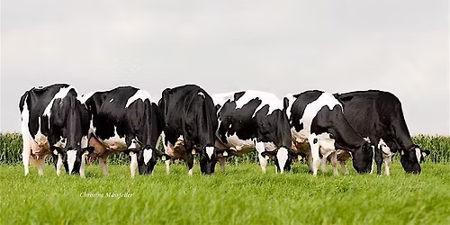 Dairy Dynamics Workshop- Truro, NS