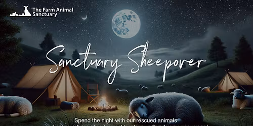 The Sanctuary Sheepover
