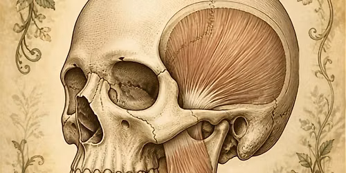 Jaw Pain & Tension: Understanding the Pattern