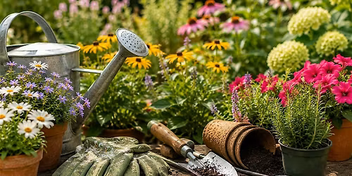 Avoiding Garden Bloopers \u2013 Right Plant, Right Place, Right Effect