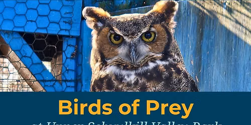 Birds of Prey