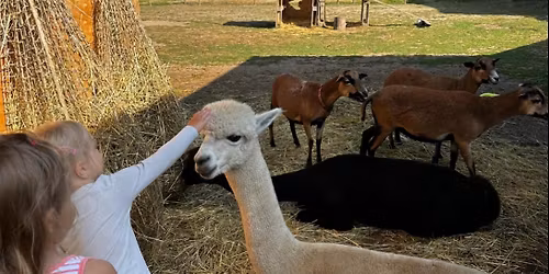 DEN OTEV\u0158EN\u00ddCH VR\u00c1TEK & Z\u00c1PIS NA \u0160KOLN\u00cd ROK2026\/2027 