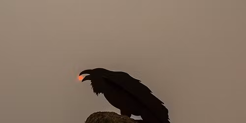 OPEN MIC | OPEN STAGE: Winter Solstice Edition!