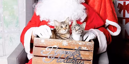 Santa Paws @ Coal Cats Cafe