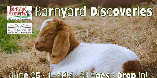 Barnyard Discoveries