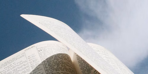 Women's Summer Bible Study
