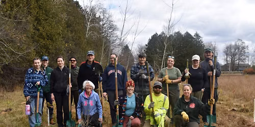 Westfield Tree Planting