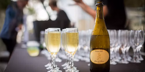 The Curated Sip - Wine tasting in the gallery