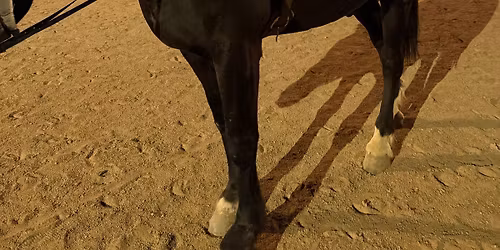 Kids\u2019 Club - Saturday, Nov 8, 3:30-5pm