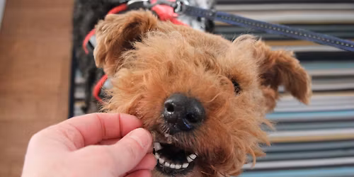 Fantastic Charity Auction.