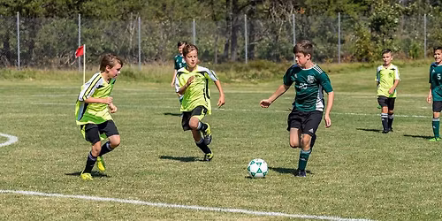 Plant the Pitch 5k walk\/run