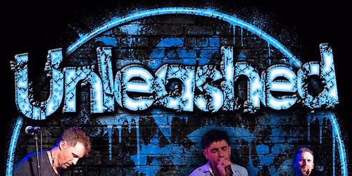 Unleashed Live Melbournes Premier high energy Party Band