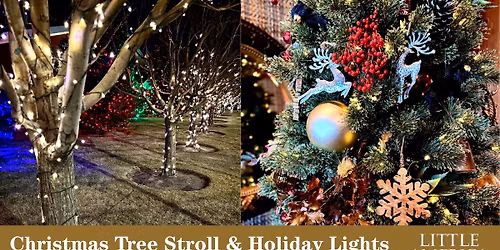 Christmas Tree Stroll & Holiday Lights 