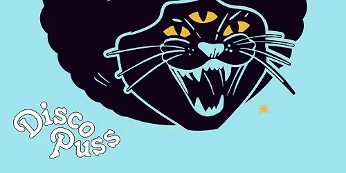 DISCO PUSS Bristol Launch w\/ TOUCH OF FUNK "All Night Long" - Bristol Debut