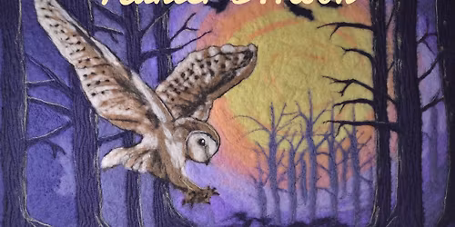 WonderWool Wales 20th Anniversary Show