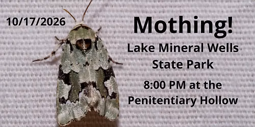 Mothing!