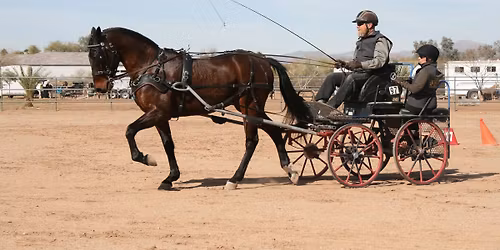 Apache Junction Rodeo Grounds ADT #3 and ADT#4