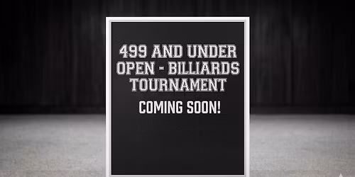 Albany 499 and Under 9 Ball Open