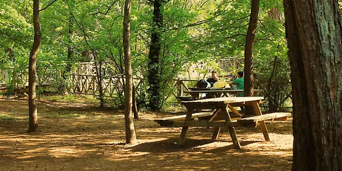 Warm Data: A Multi-Generational Park Gathering