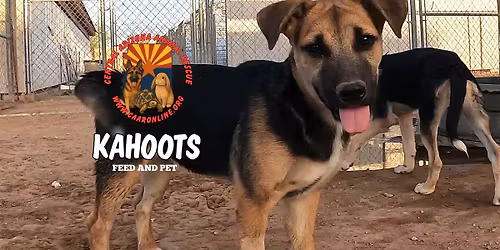CAAR Dog Adoption event at KAHOOTS San Tan Valley 