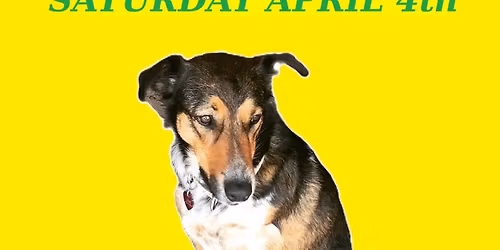 Love Wheel Records' 5th Anniversary Party