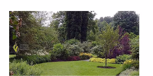 Get to Know the Arboretum: Discover Hidden Rooms of the Zucker Shrub Garden