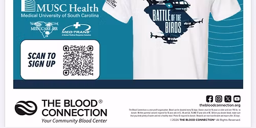 Battle of the Birds