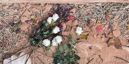 All the Tea on Natural Burial: A Community Conversation