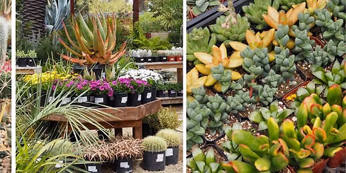 25% off Everything in the Nursery