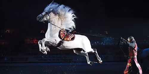 NYE at Medieval Times - Schaumburg