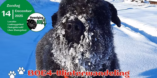 BOE4-winterwandeling