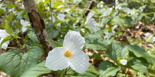 Nurtured by Nature
