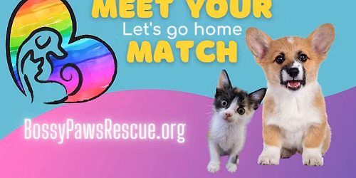 Meet and Match