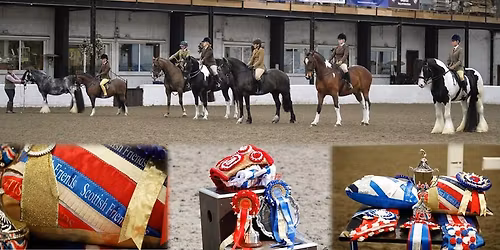Scottish Friends Open Show