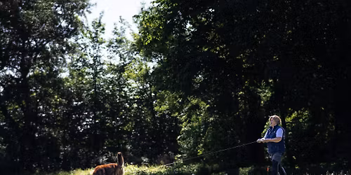 Towarzyskie KO Tropienie Sportowe