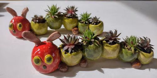 Caterpillar succulent pot