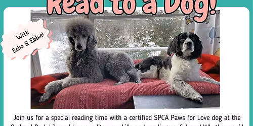 Read to a Dog