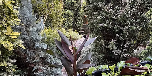 Garden Design with Nigel Rollings