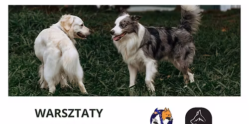 WARSZTATY - KOMUNIKACJA MI\u0118DZY PSAMI\/BITEWORK\/MOTYWACJA