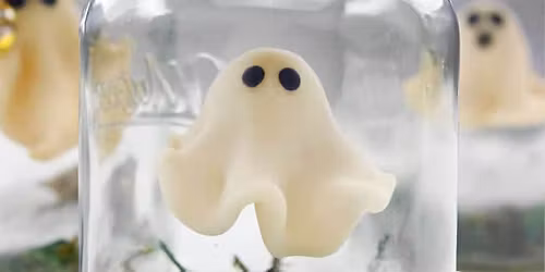 Teentober Pet Ghost
