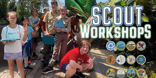 Scouting America Merit Badge Workshops - Insect Study