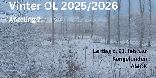 Vinter OL #7 Kongelunden
