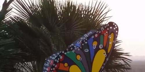 Texas Arbor Day Weekend Native Plant Sale