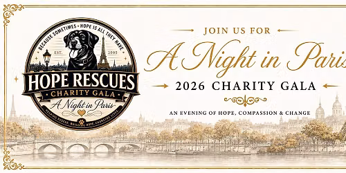 2026 Charity Gala