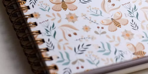 \u2744\ufe0f Moving into Your New Year with Ease: A Yoga & Sankalpa Intention Meditation Meditation