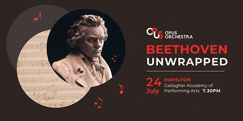 Beethoven Unwrapped (Hamilton)