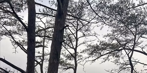 WWE Kentucky- New Years Day Hike