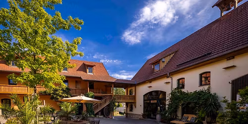 Wanderung durch unsere Bad Sulzaer Weinberge