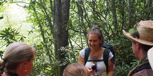 Autumn\u2019s Wild Bounty: A Wild Appalachian Foraging & Herbal Discovery Walk