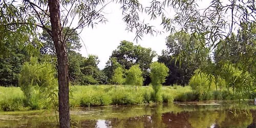 Pond Management 101